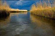 zbliża się burza nad Biebrzą