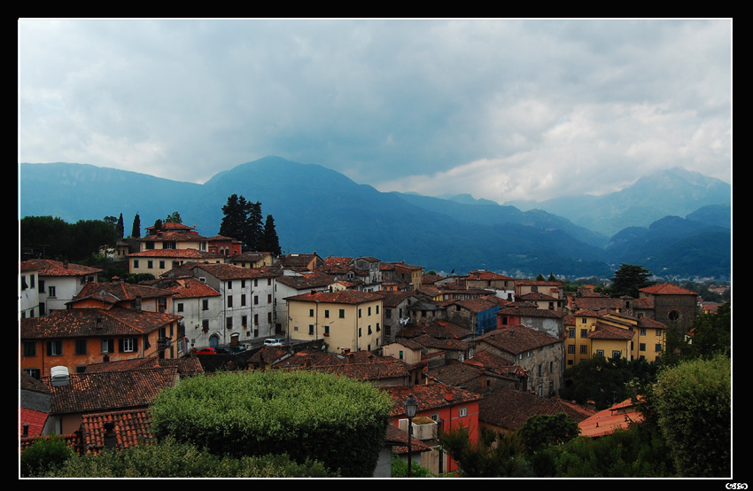 Barga...