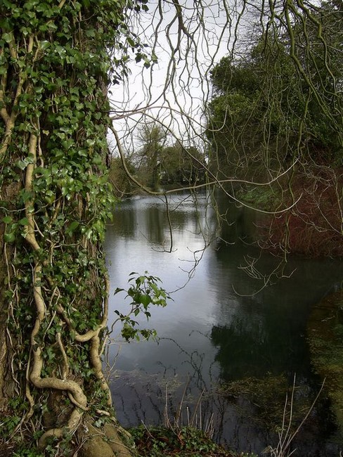 zbiera się na deszcz- Holt, Wiltshire, UK