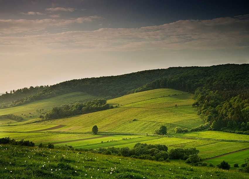 W słonecznej dolinie