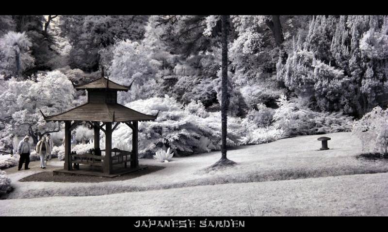 japanese garden