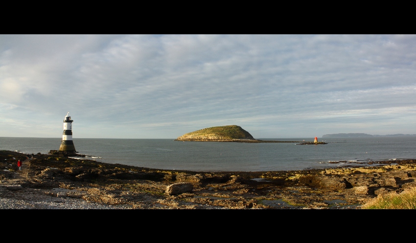 Puffin Island II