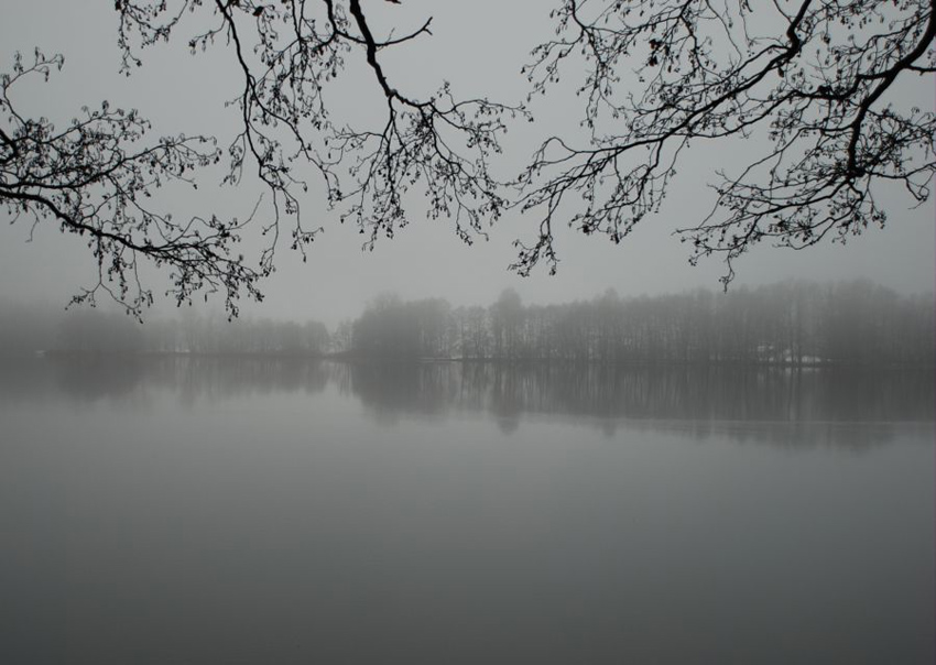 And the branches bend To the growing sea