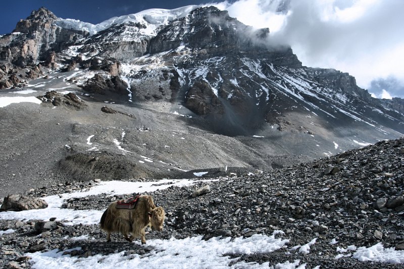 Nepal, Himalaje, gdzies na 5400m