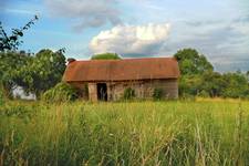 Mazury