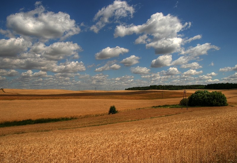 Klasyczna Agroturystyka