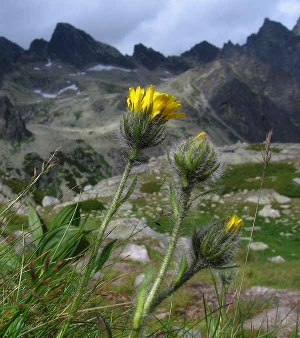 Velka Studenna Dolina