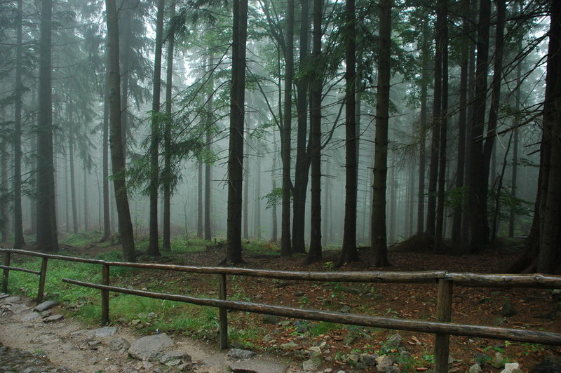 Karkonoski Park Narodowy