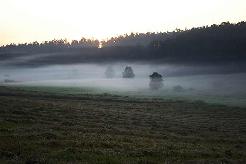 Poranne mgły