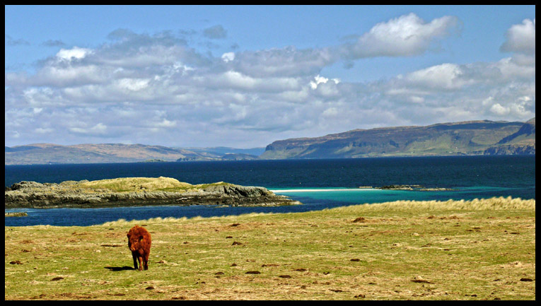 The beauty of Iona