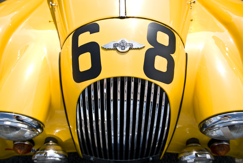 yellow morgan