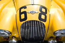 yellow morgan