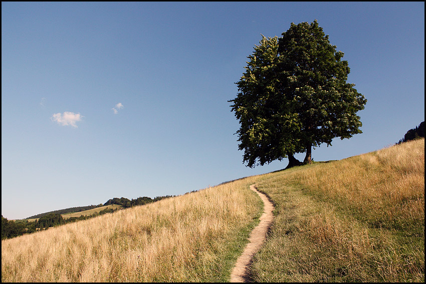 Beskid Jaworki