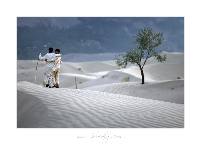 Desert Friends