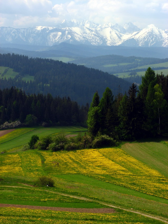 Góry,pola,lasy