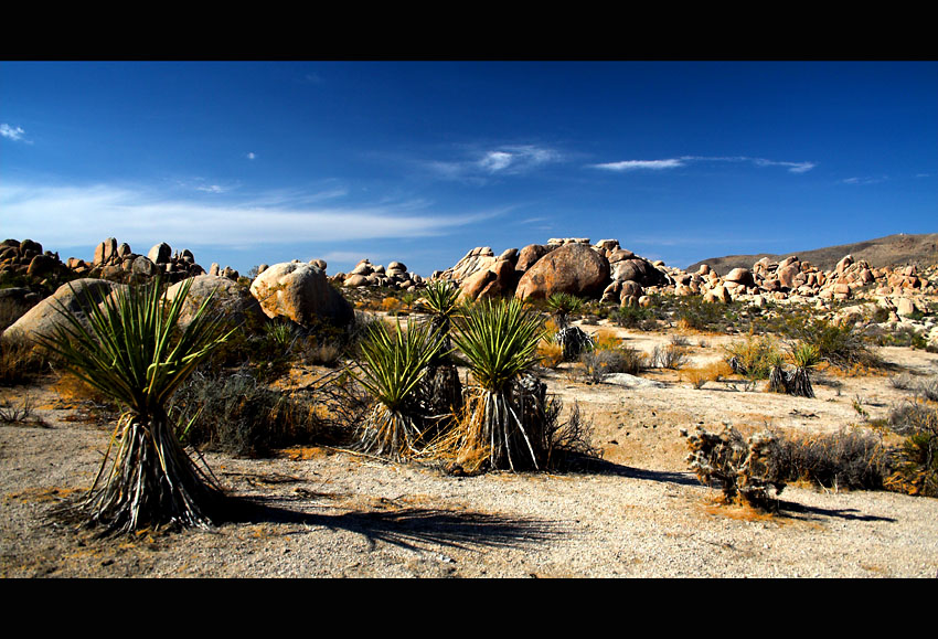 Pustynia Anza-Borrego