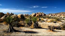 Pustynia Anza-Borrego