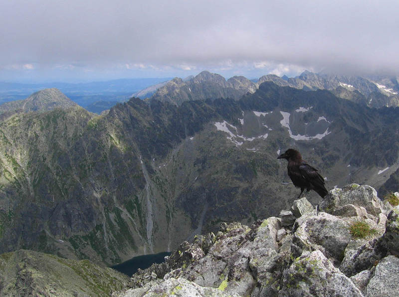 tatry