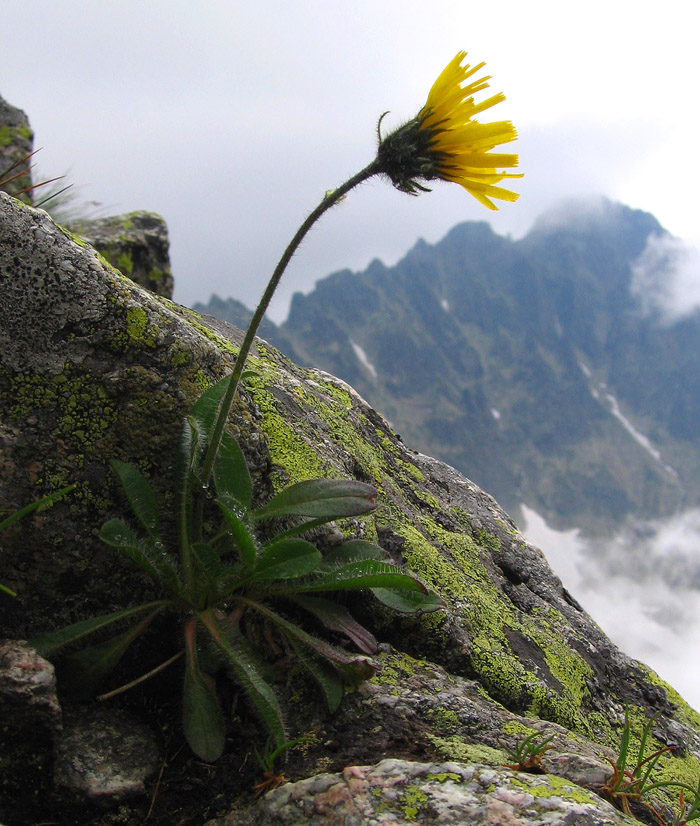 tatry inaczej