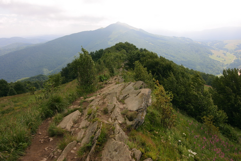 Widok z Połoniny Wetlińskiej na Połoninę Caryńską   -  20.07.2008