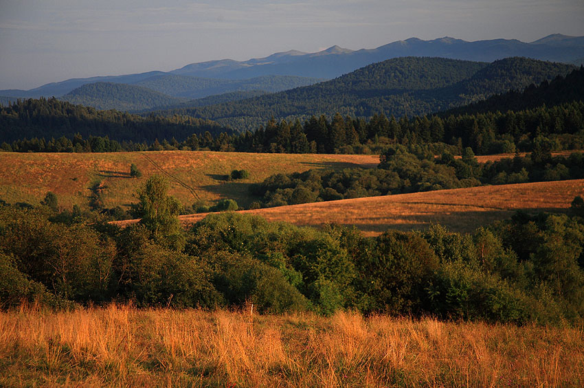 bieszczadzki pejzaż