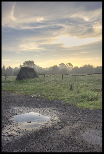 foggy sunrise