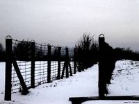 Majdanek