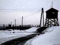 Majdanek II