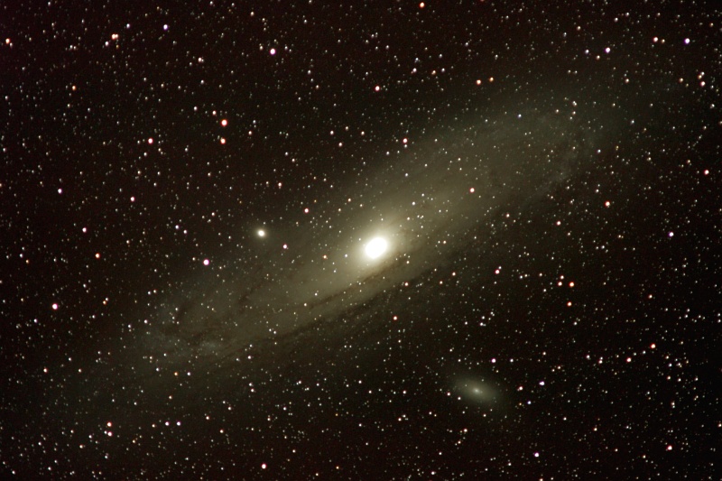 M31