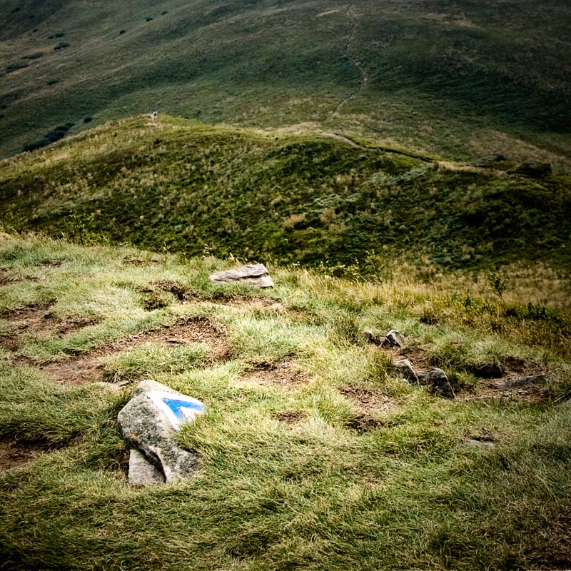 Bieszczady 2008 // 2