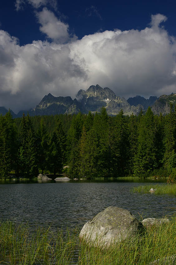 Pleso...