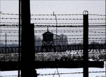 Majdanek III