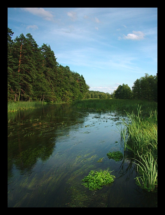 Czarna Hańcza