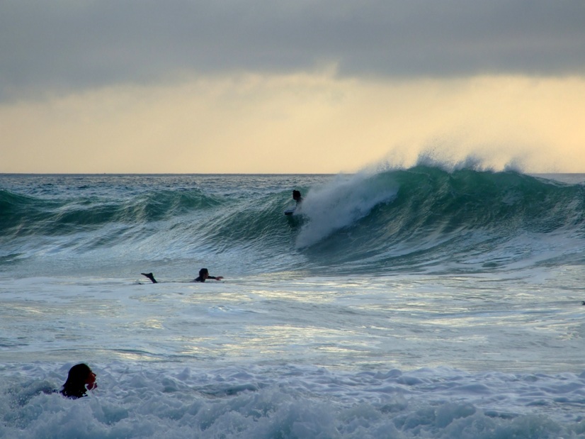 surfing