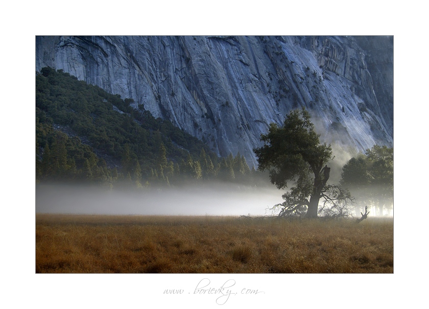 Morning in Yosemites