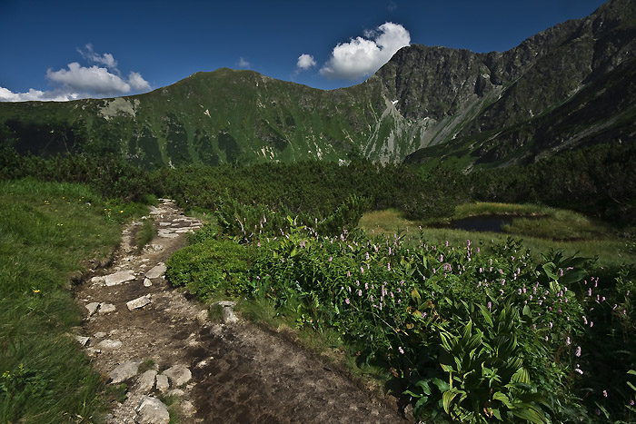 Słowackie Tatry-gory