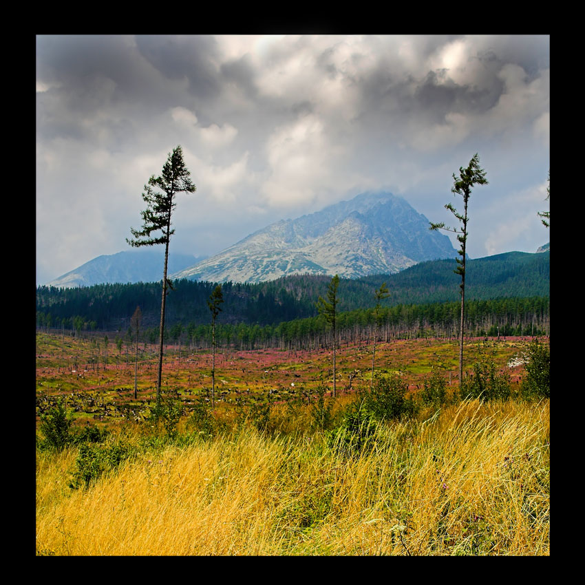 Tatry Wysokie od strony Słowackiej