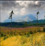 Tatry Wysokie od strony Słowackiej