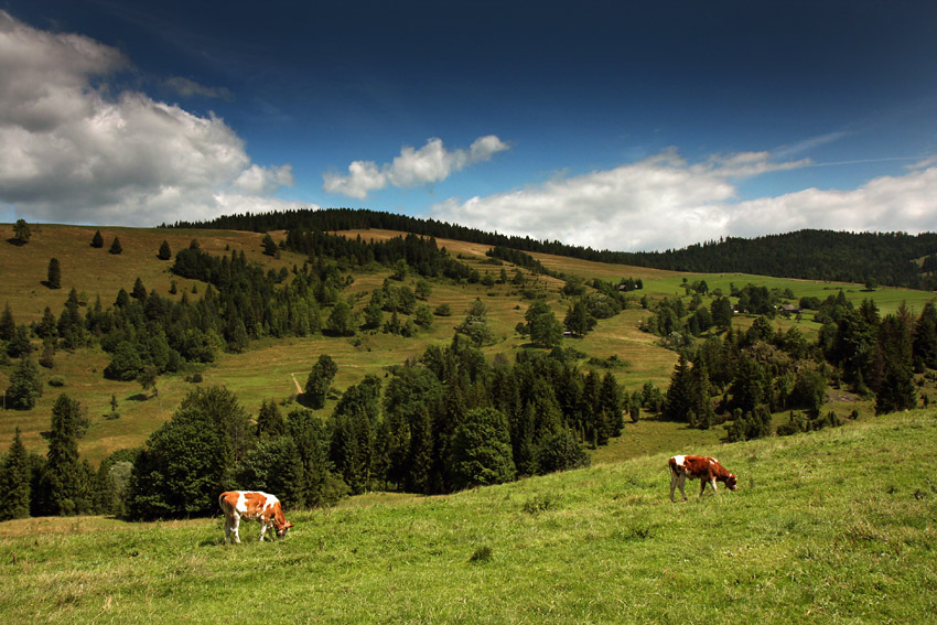 ...Pieniny...