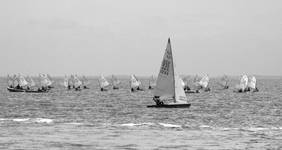 SailingDays 2008