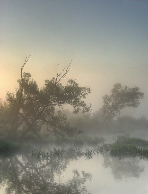 Poranek nad rzeką...