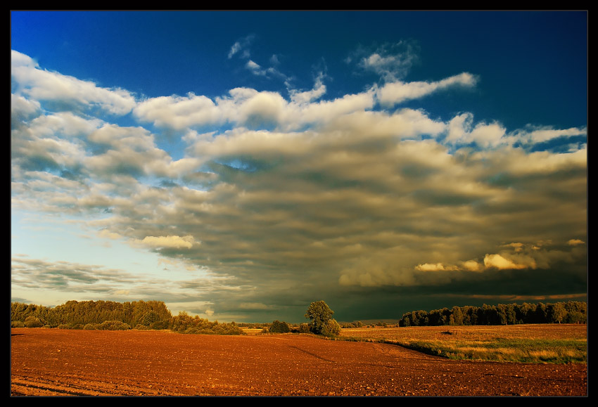 Afternoon Breeze...