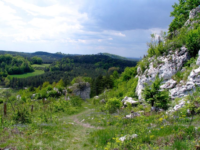 marek.mulczyk