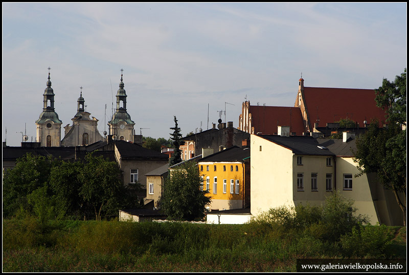 Koło II