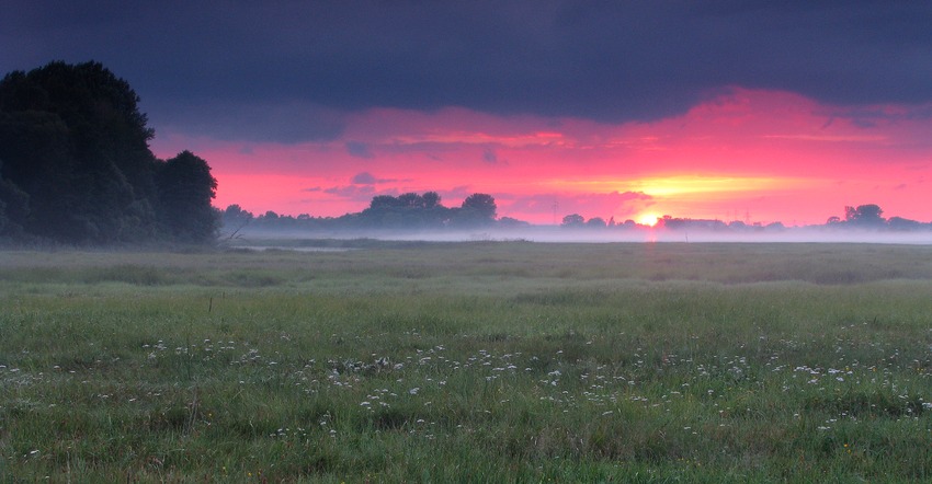 Nadbiebrzańskie łąki