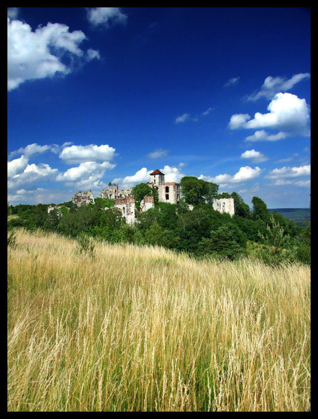 Zamek Tenczyn