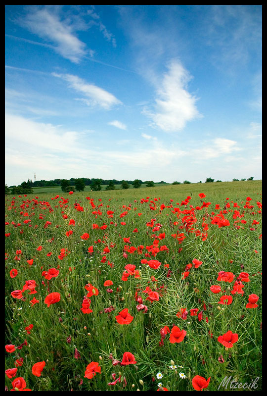 red