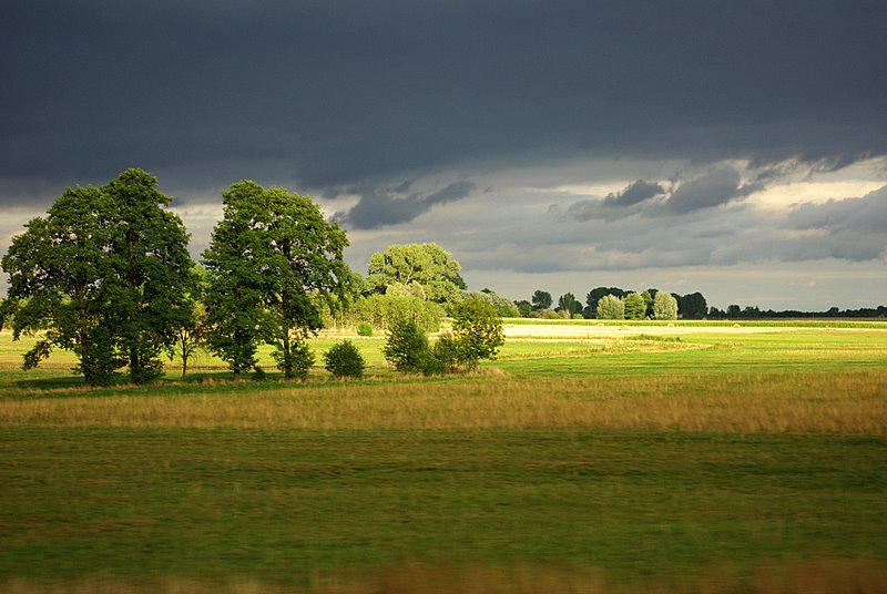 Z pędzącego pociągu...