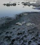 Mono Lake