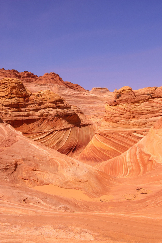 Vermillion Cliffs VIII